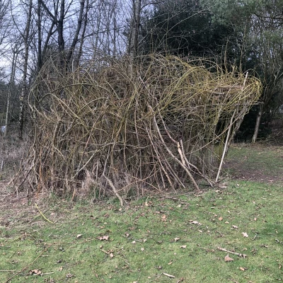 WillowHouseFeb23_JPEG