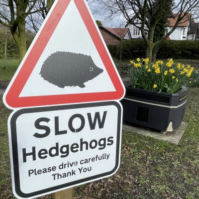 Hedgehog sign