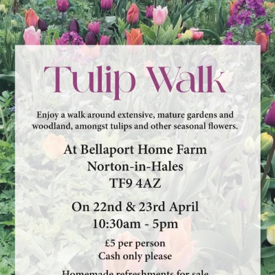 Tulip Walk