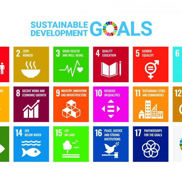 Sustainable Development Goals