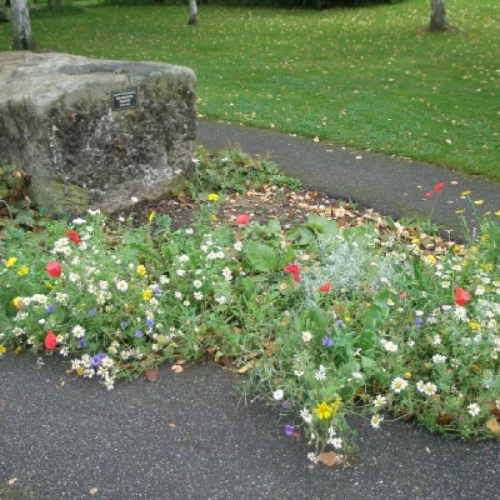 Beavers & Millenium Garden (2)