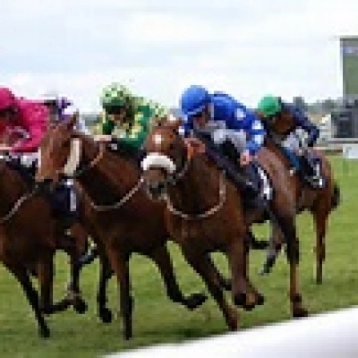 Horse Race