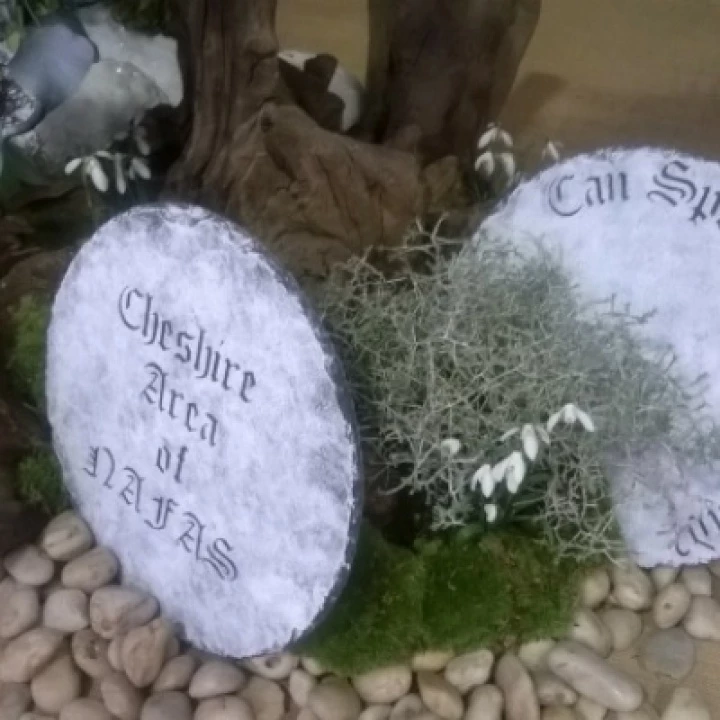 Chester Display