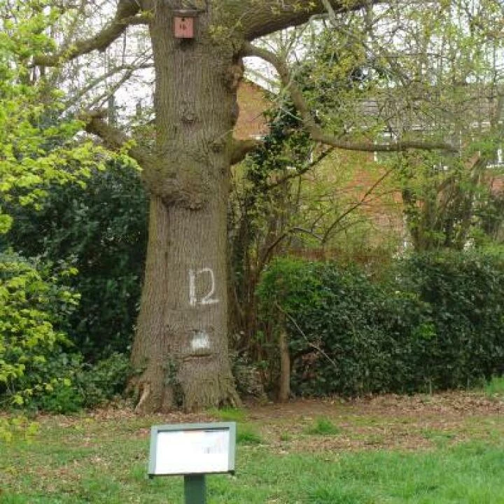 Woodland Signage