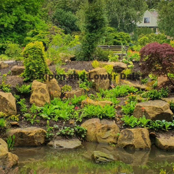 Harlow Carr 1