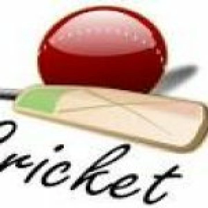 cricket 2