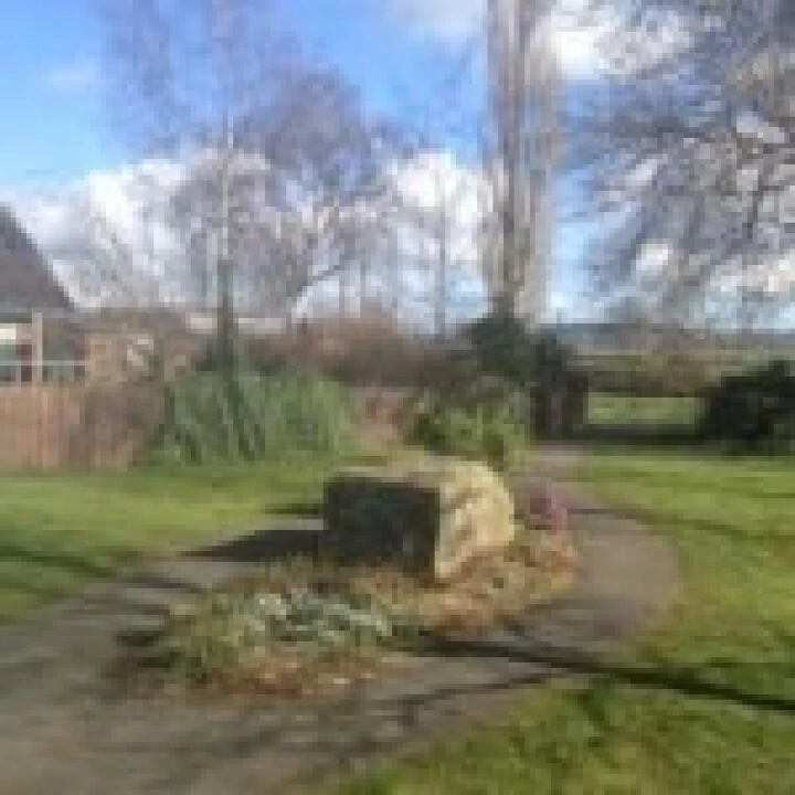 Millenium Garden