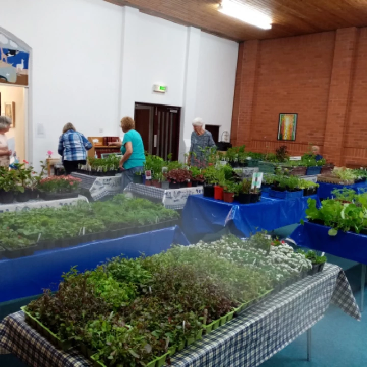 Plants Set Out In Chapel May 2022