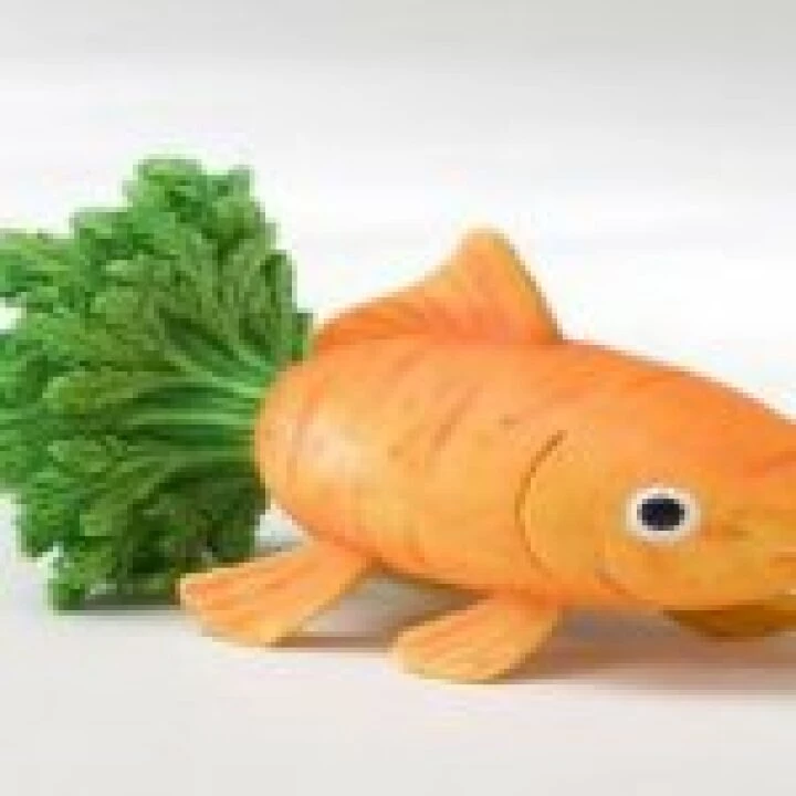 fish carrot