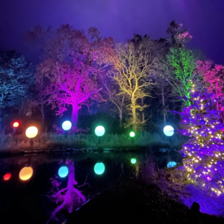 Bewilderwood Presents Christmas   Opening Weekend