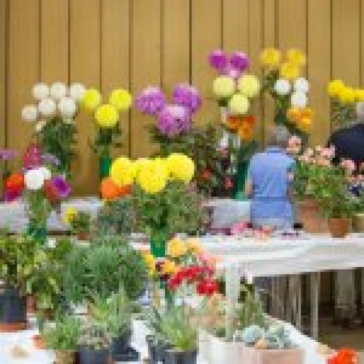 Annual Show 01