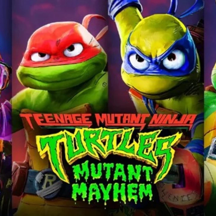 Turtles 2