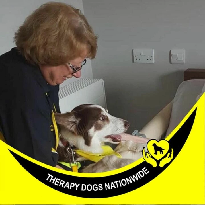 St Andrews Womens Group – Therapy Dogs Nov 2024