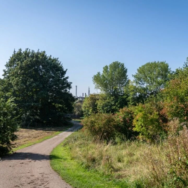 Mersey Forest Anderton park