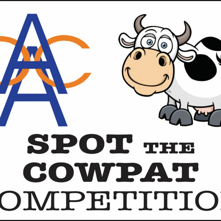 Cowpat Competition 1024 X 768