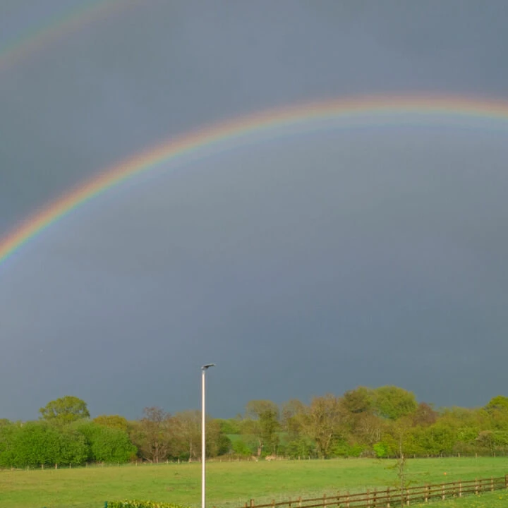 RR Rainbow F7125