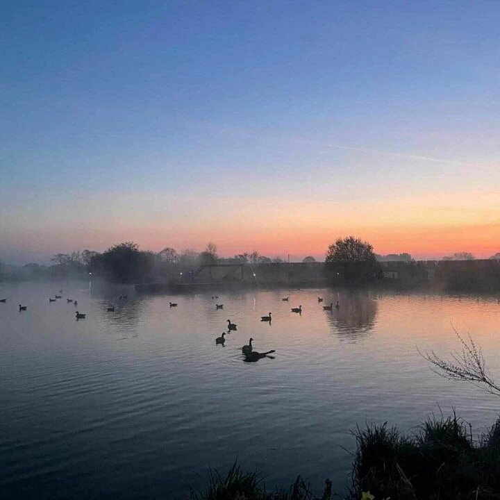 Misty Lights