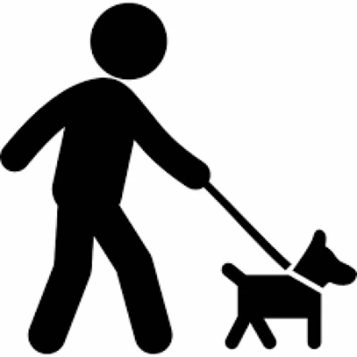 Dog On Lead