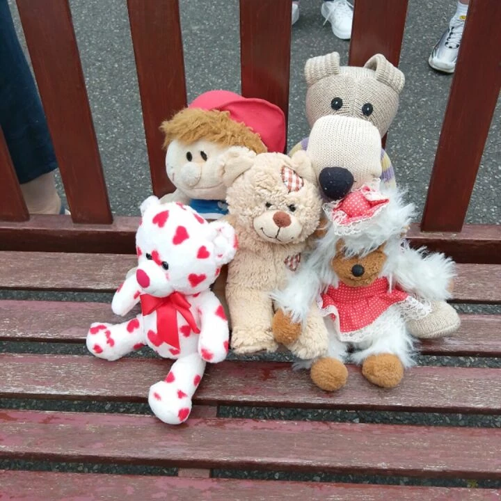 Sarahs Teddies