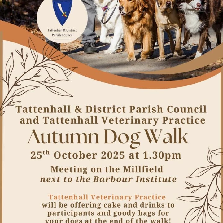Autumn Dog Walk