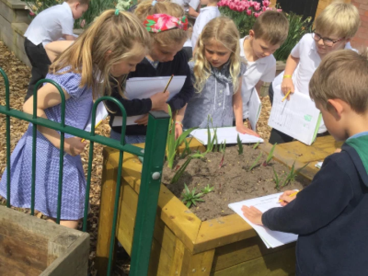 plant hunt 4