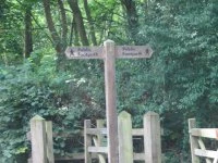 Community Woodland