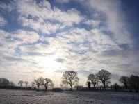 Frosty morning 2