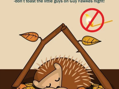 Dont Toast a Hedgehog this Guy fawkes night