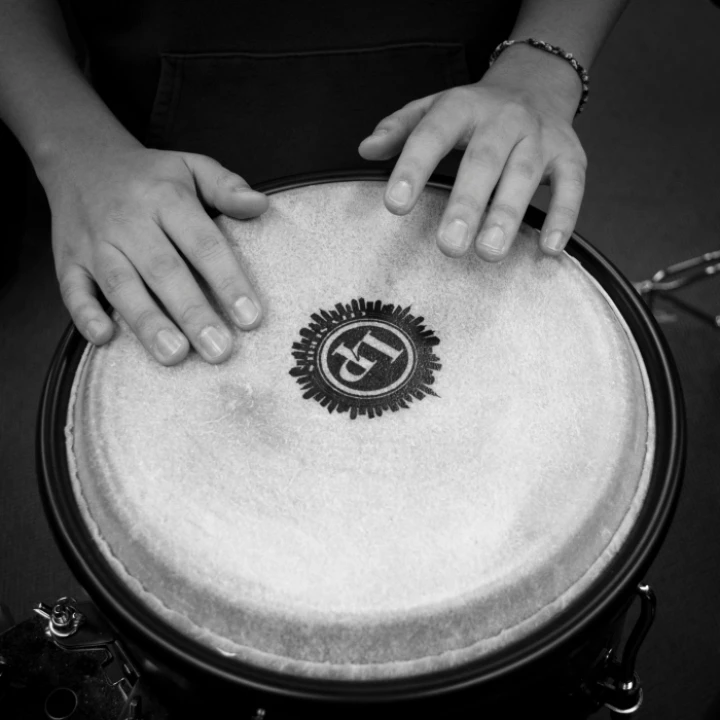 Person Holding Drums