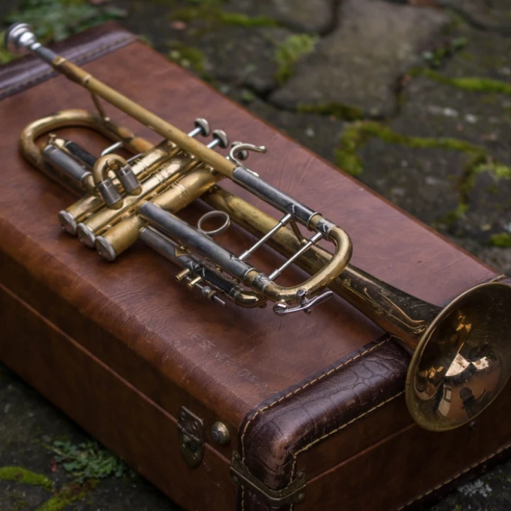 Brass, leather, instrument