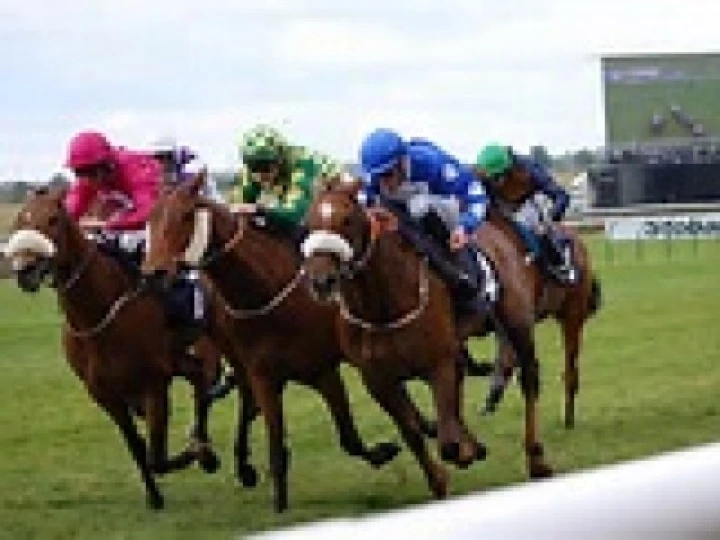 Horse Race