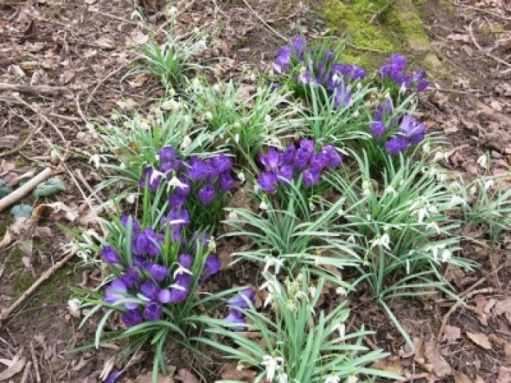 Spring 2