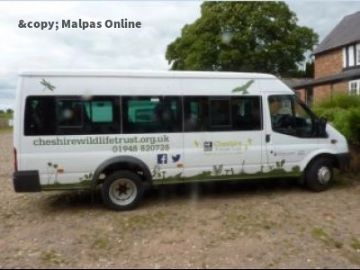 bus