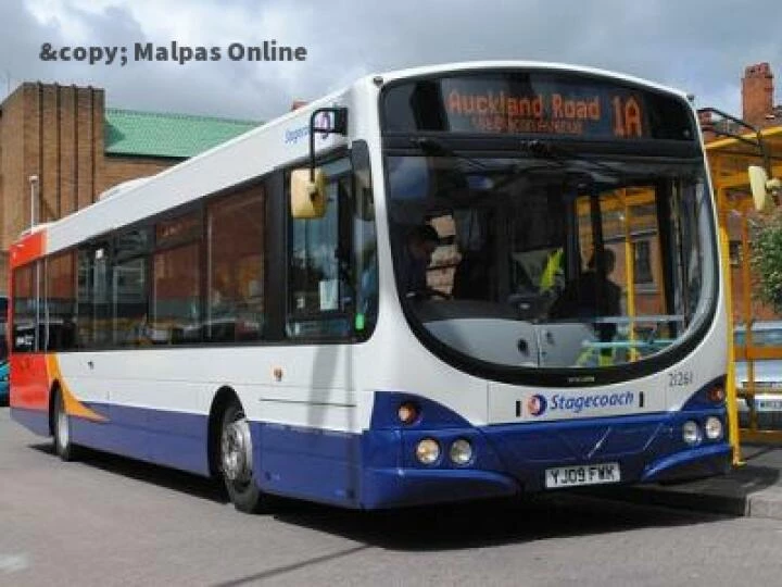 bus
