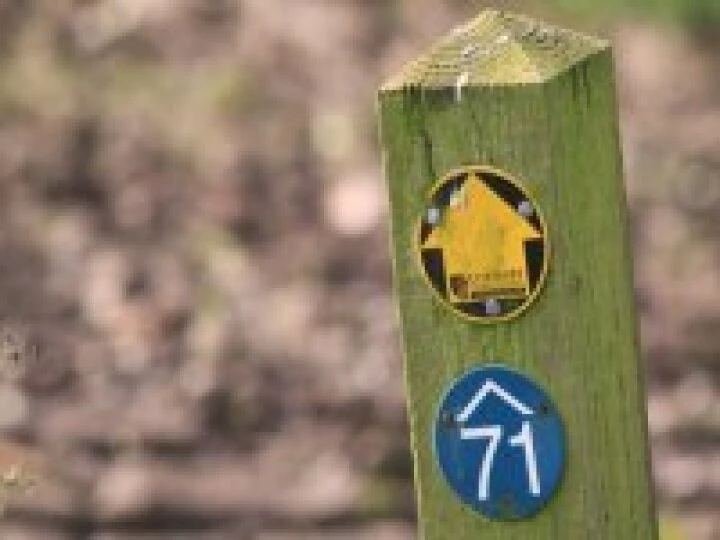 Walk