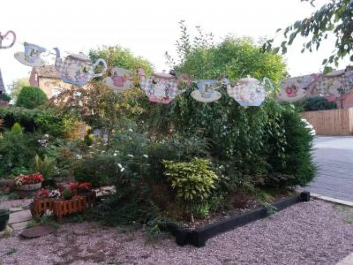 Bunting 2