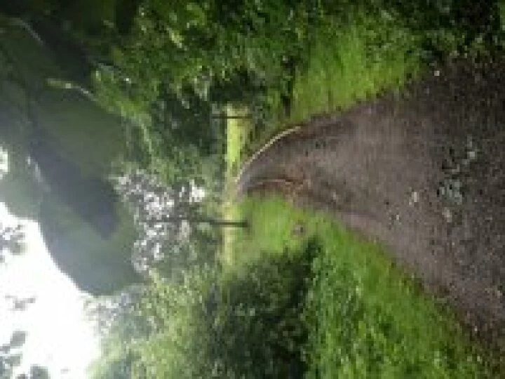 Community Woodland