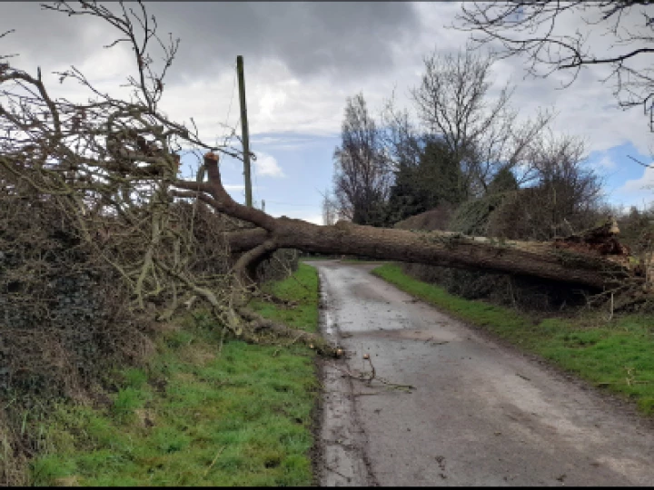 Storm damage