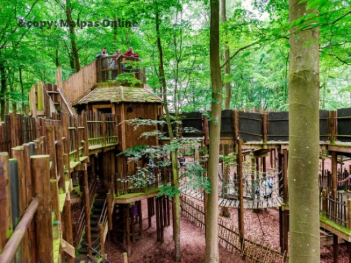 BeWILDerwood
