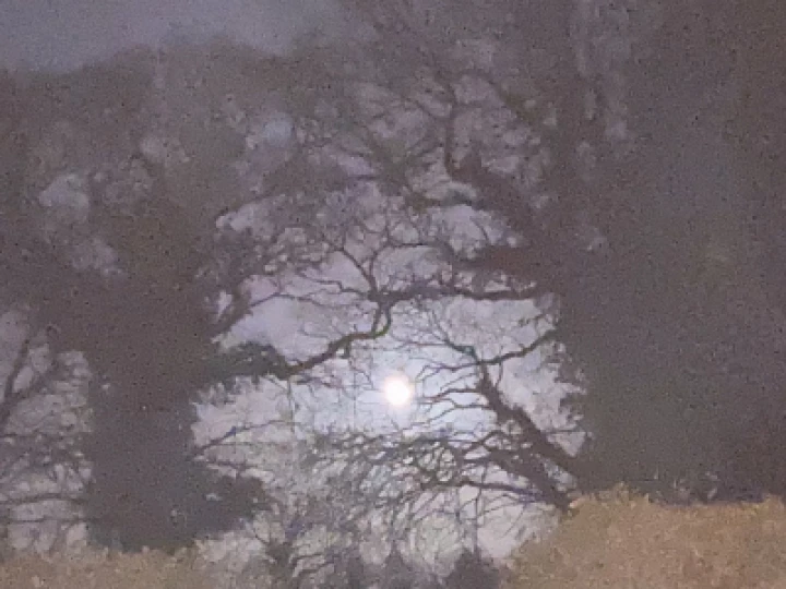 Full Moon