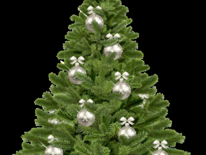 christmas-tree-1853582_960_720