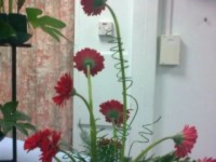 Flower Club Sept2