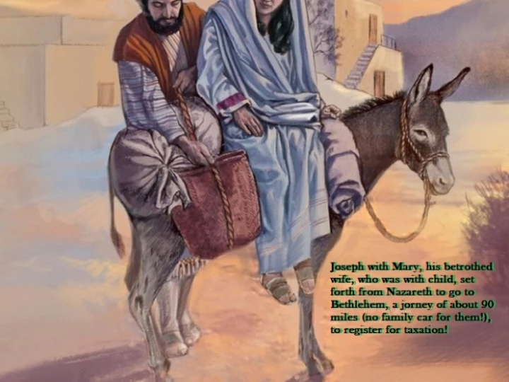 Mary & JOE Journey