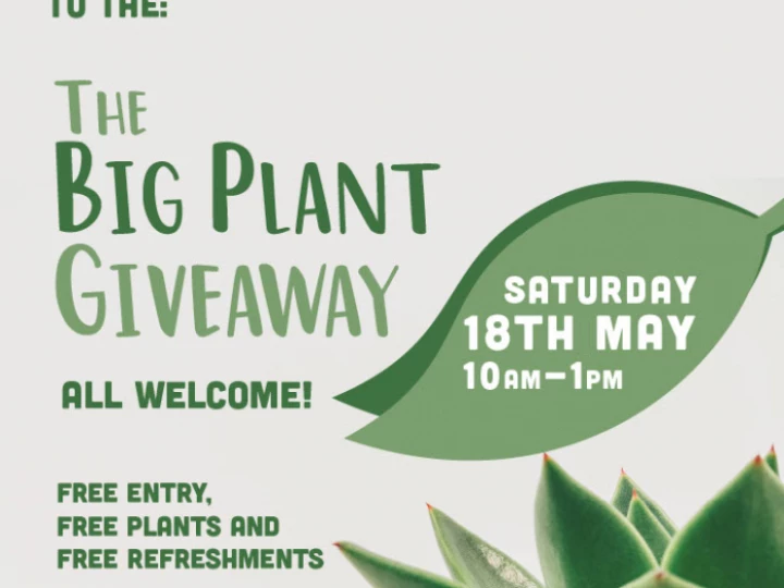 Big Plant Giveaway Coming Soon