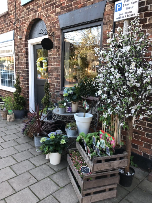 boutique and blooms
