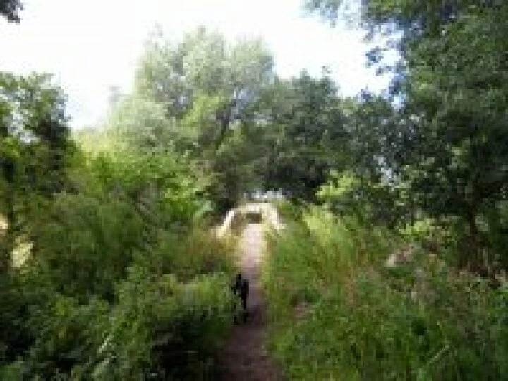 bridge1