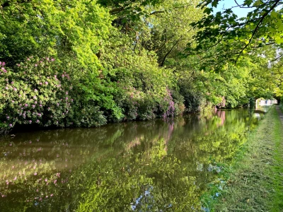 bridgewater reflections