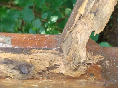 broomheath board   rotten wood