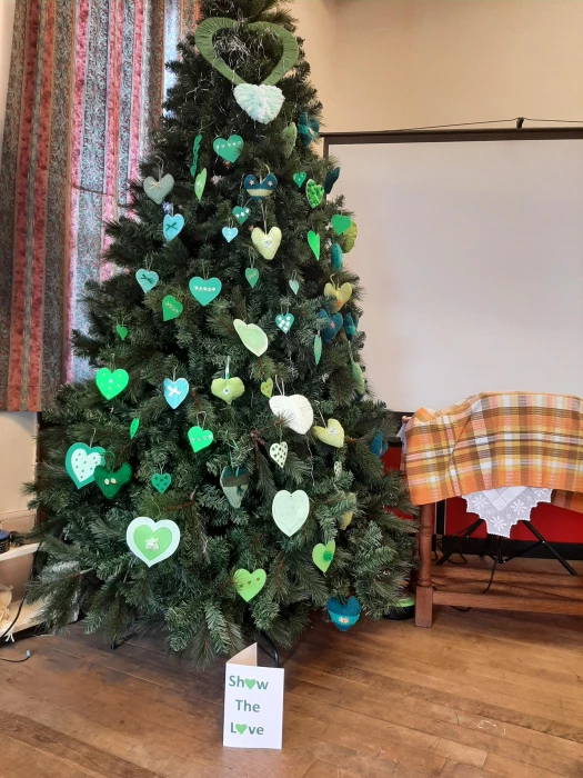 buckley show the love tree february 2022
