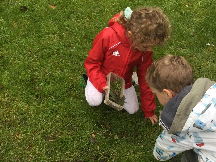 bug hunting